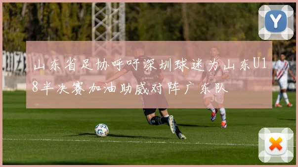 山东省足协呼吁深圳球迷为山东U18半决赛加油助威对阵广东队