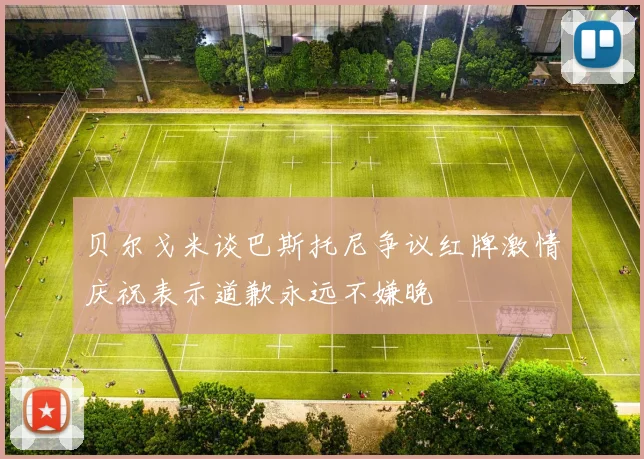 贝尔戈米谈巴斯托尼争议红牌激情庆祝表示道歉永远不嫌晚