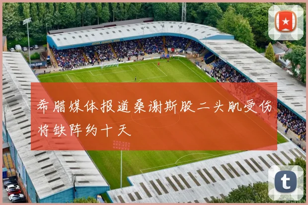 希腊媒体报道桑谢斯股二头肌受伤将缺阵约十天